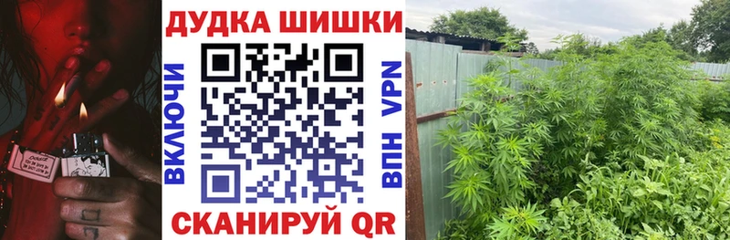 где продают   Щёкино  Шишки марихуана MAZAR 